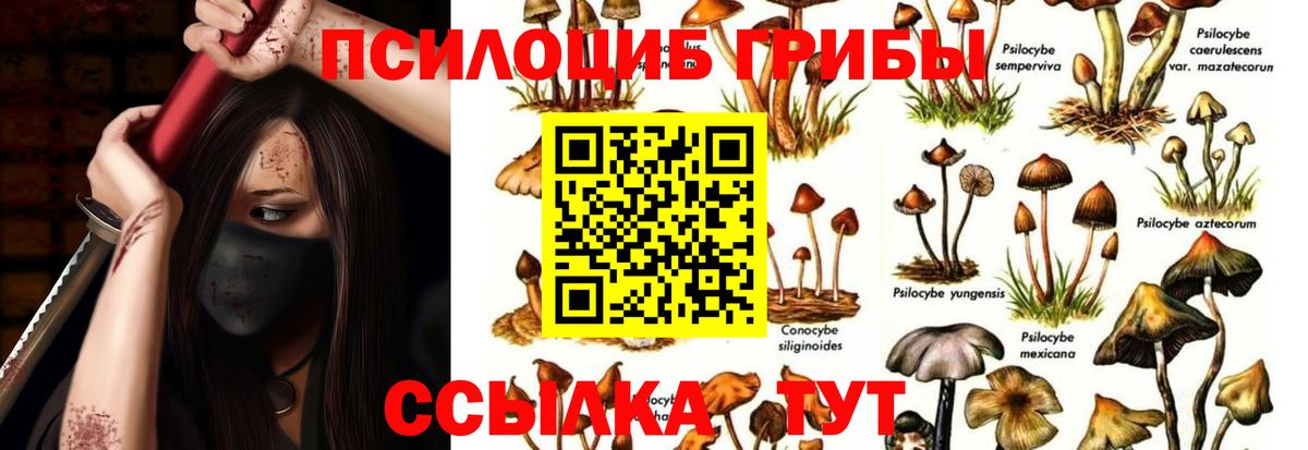 Реж  Галлюциногенные грибы MAGIC MUSHROOMS  Вход с VPN 